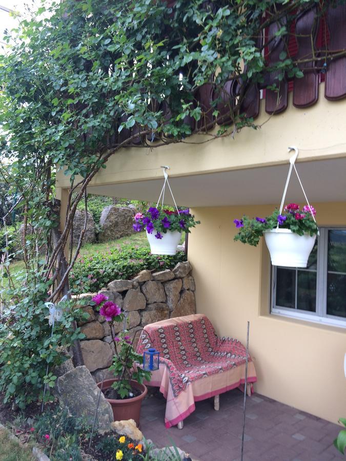 Bed and Breakfast Mona'S Sleep & Go Buren  Exterior foto