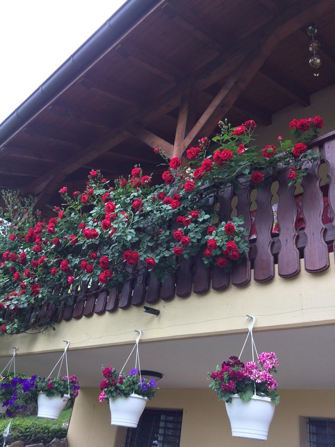 Bed and Breakfast Mona'S Sleep & Go Buren  Exterior foto